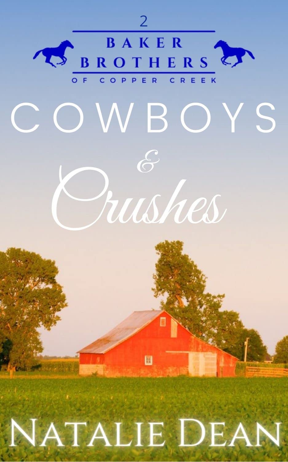 Baker Brothers of Copper Creek book cover 2