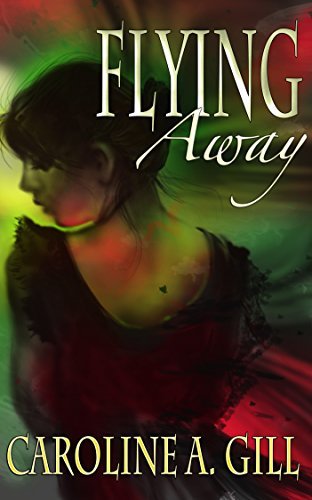 The Flykeeper Chronicles book cover 1