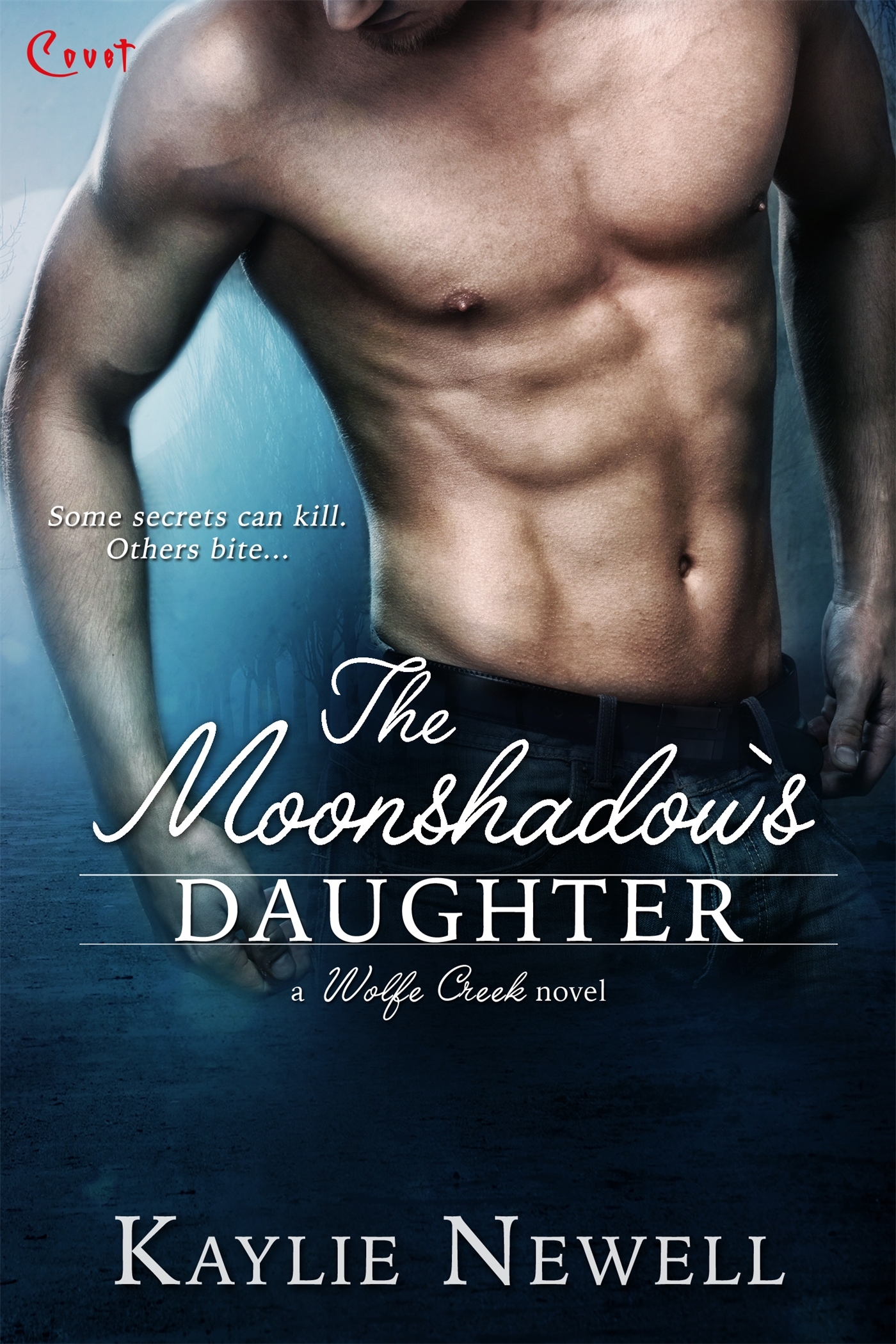 Wolfe Creek book cover 3