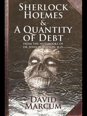 Sherlock Holmes and a Quantity of Debt book cover