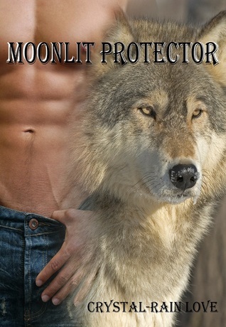 Moonlit book cover 3