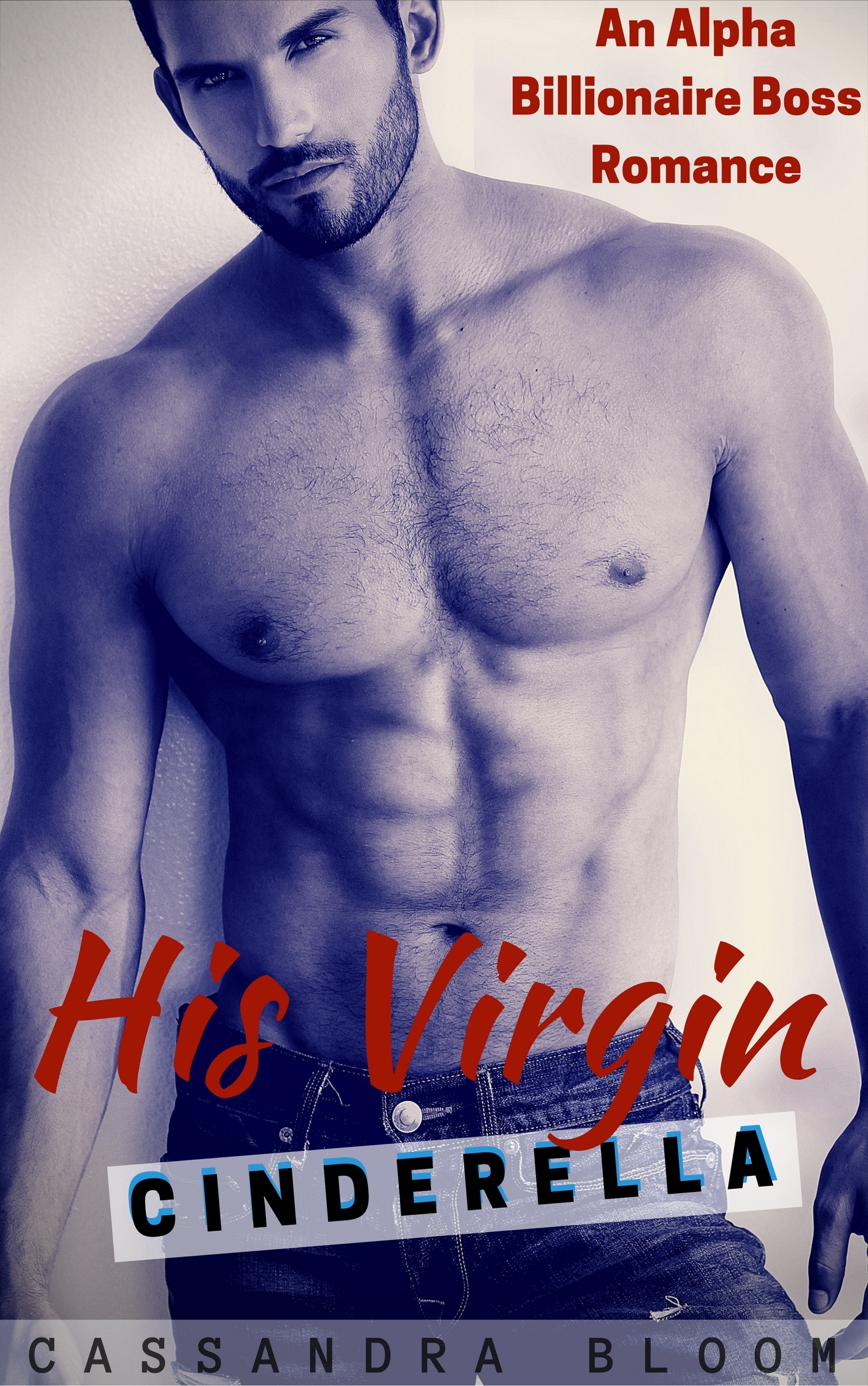 His Virgin Cinderella book cover