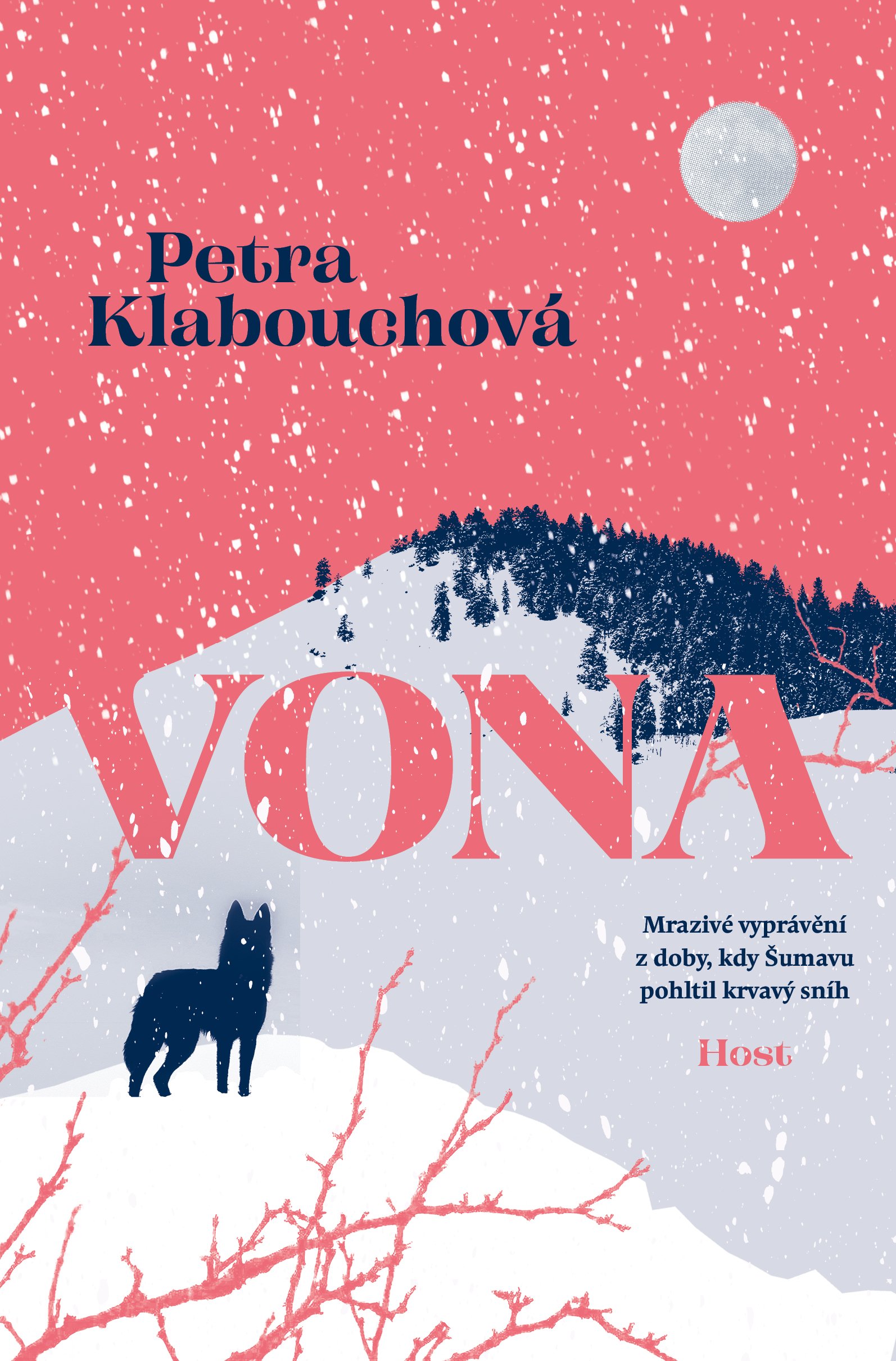 Vona book cover