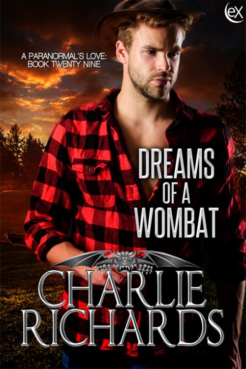 Dreams of a Wombat book cover