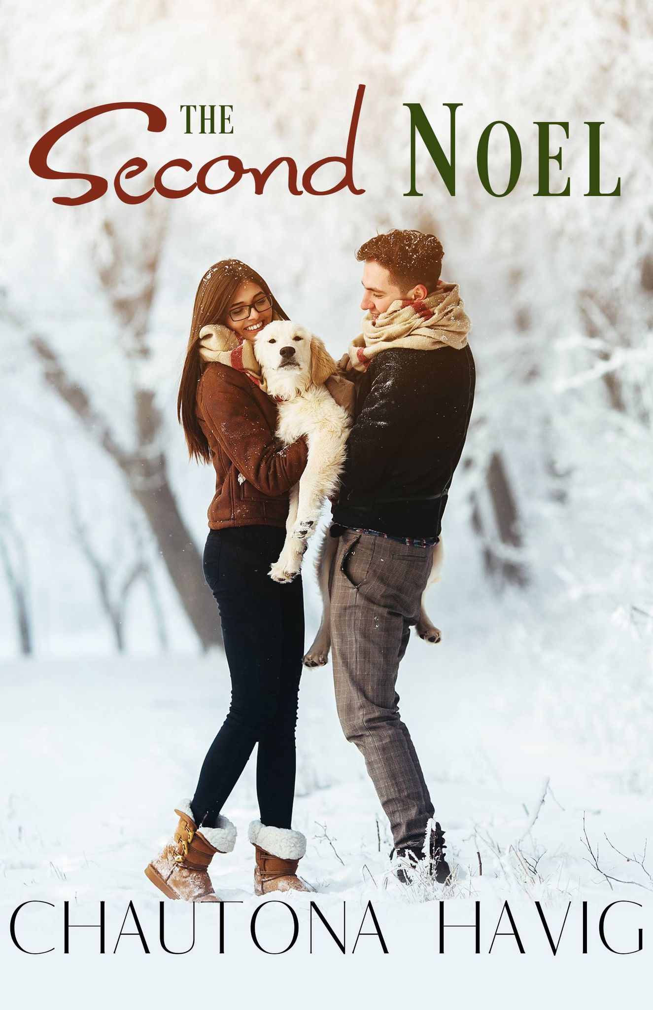 The Second Noel book cover