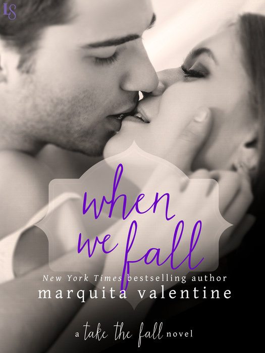 Take the Fall book cover 2