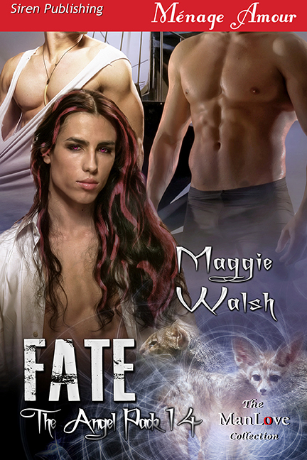 Fate book cover