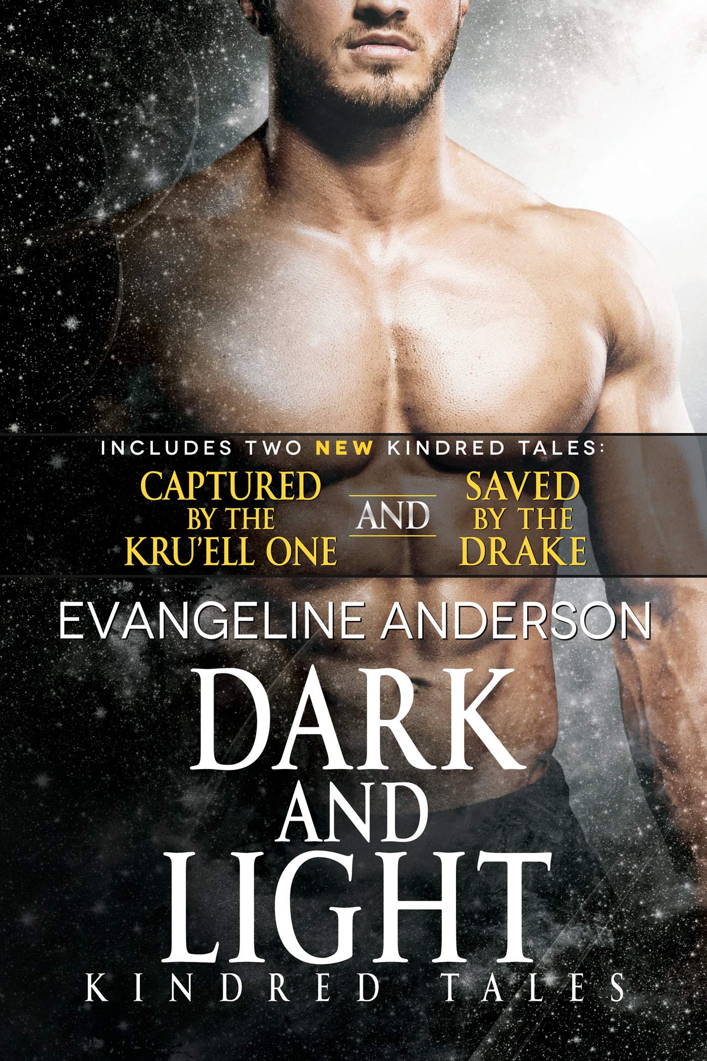 Dark and Light book cover