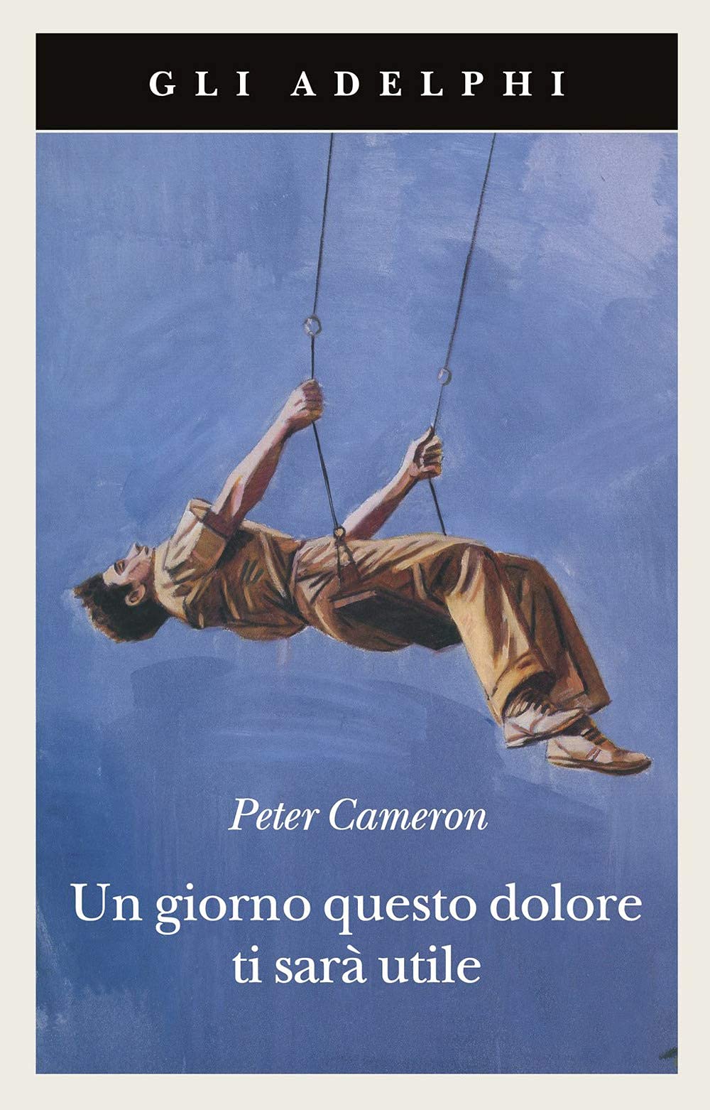 Someday This Pain Will Be Useful to You book cover