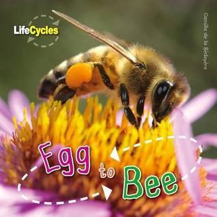 Egg to Bee book cover