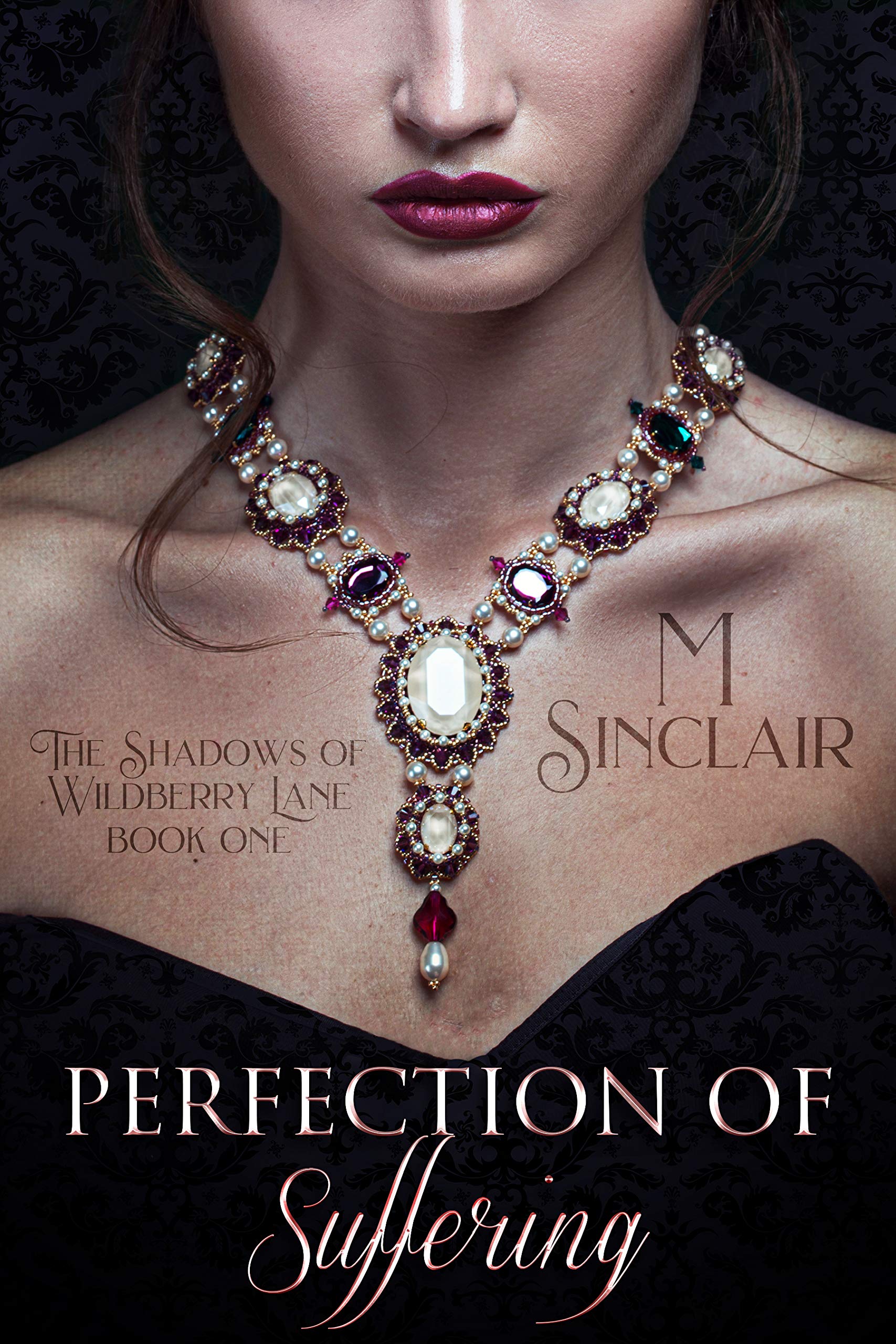 The Shadows of Wildberry Lane book cover 1