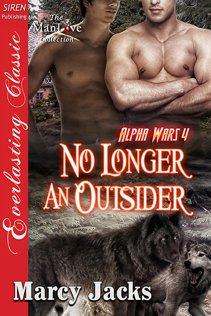 No Longer an Outsider book cover