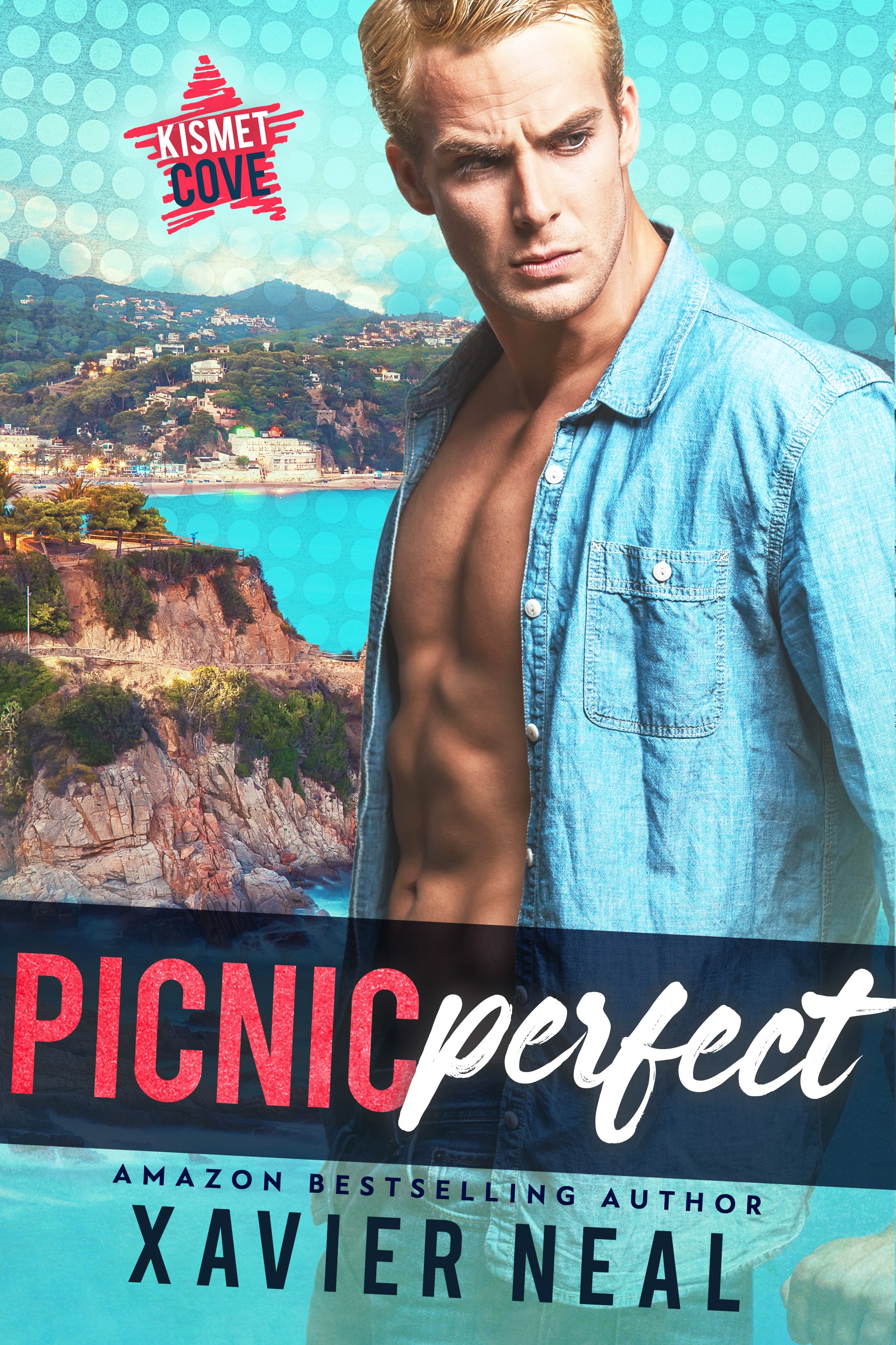 Picnic Perfect book cover