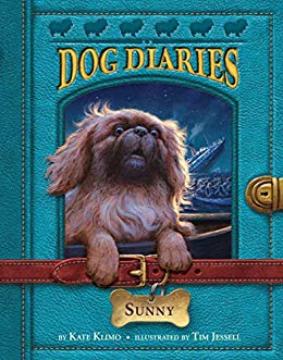 Sunny book cover
