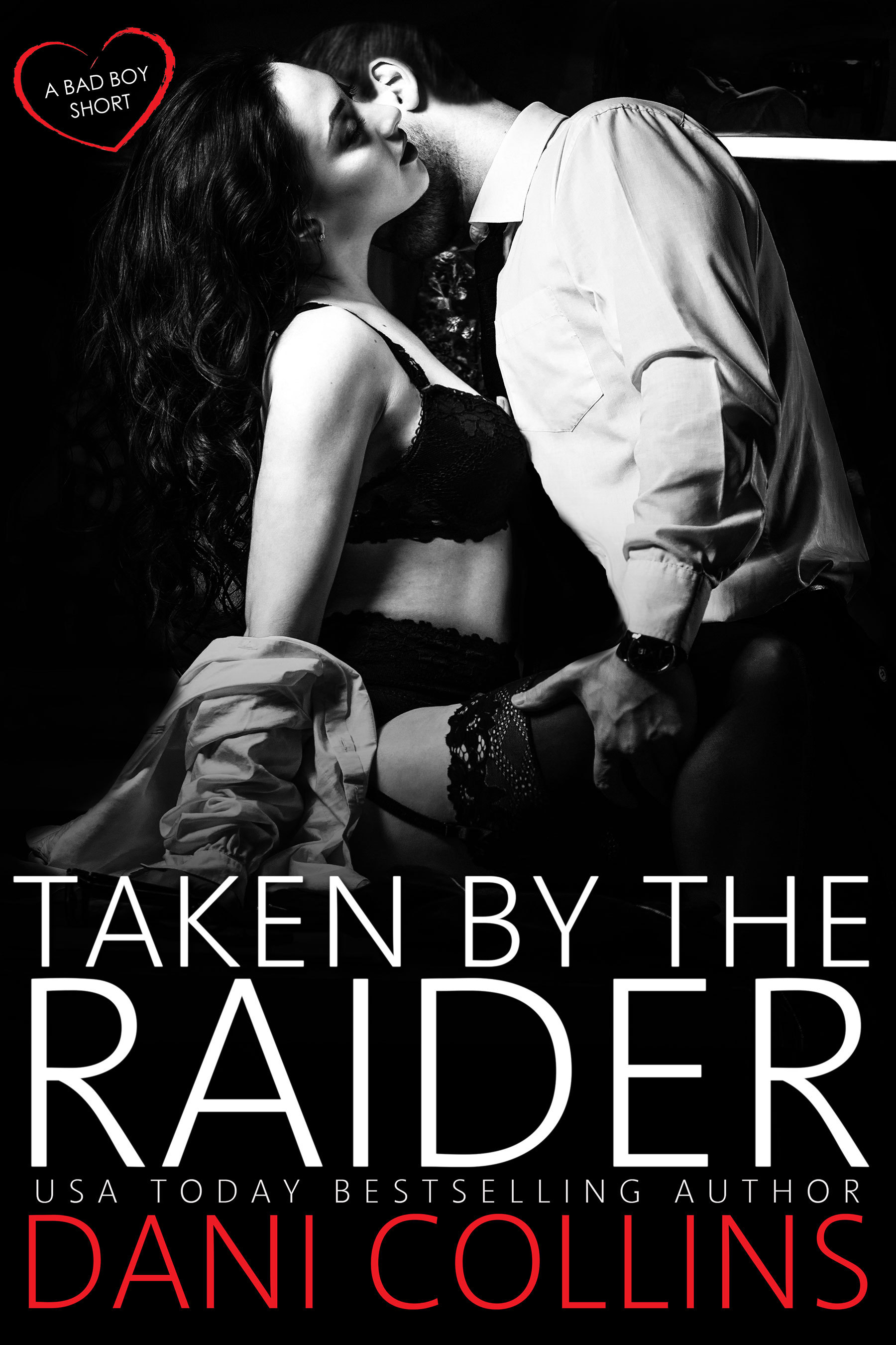 Taken by the Raider book cover