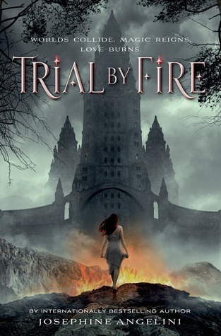 Trial by Fire book cover
