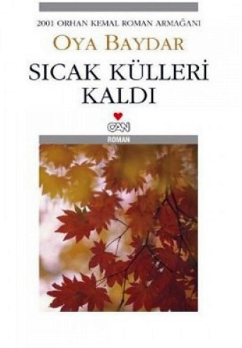 Ne reste que des cendres book cover