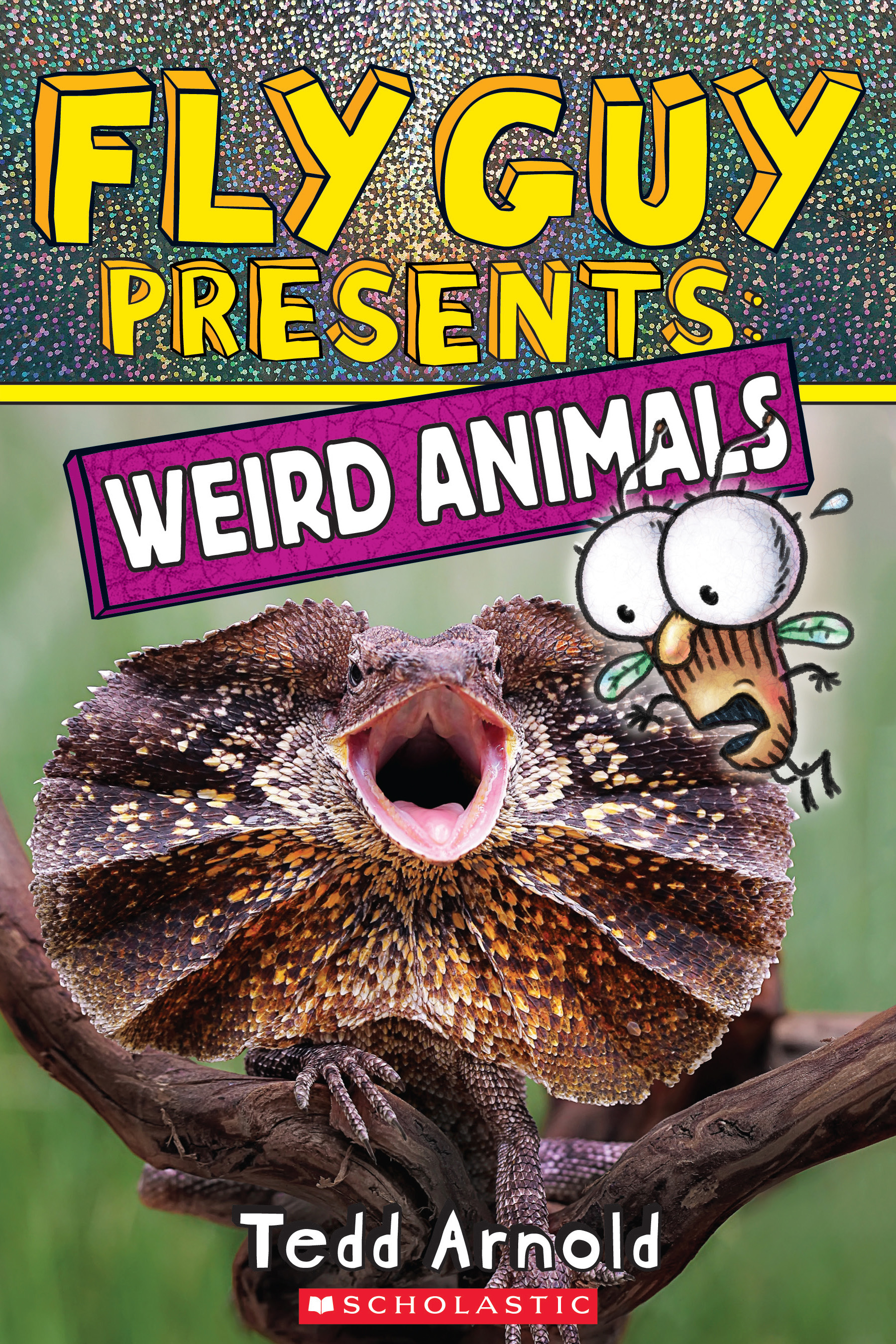 Fly Guy Presents book cover