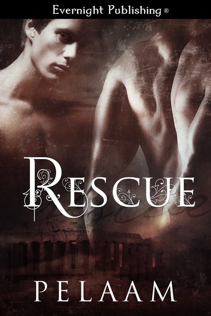 Rescue book cover