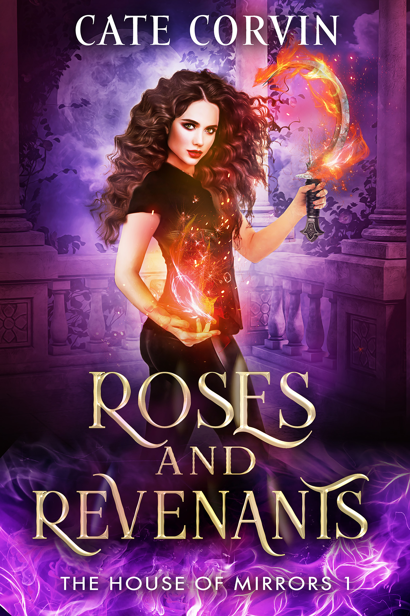 The House of Mirrors book cover 1