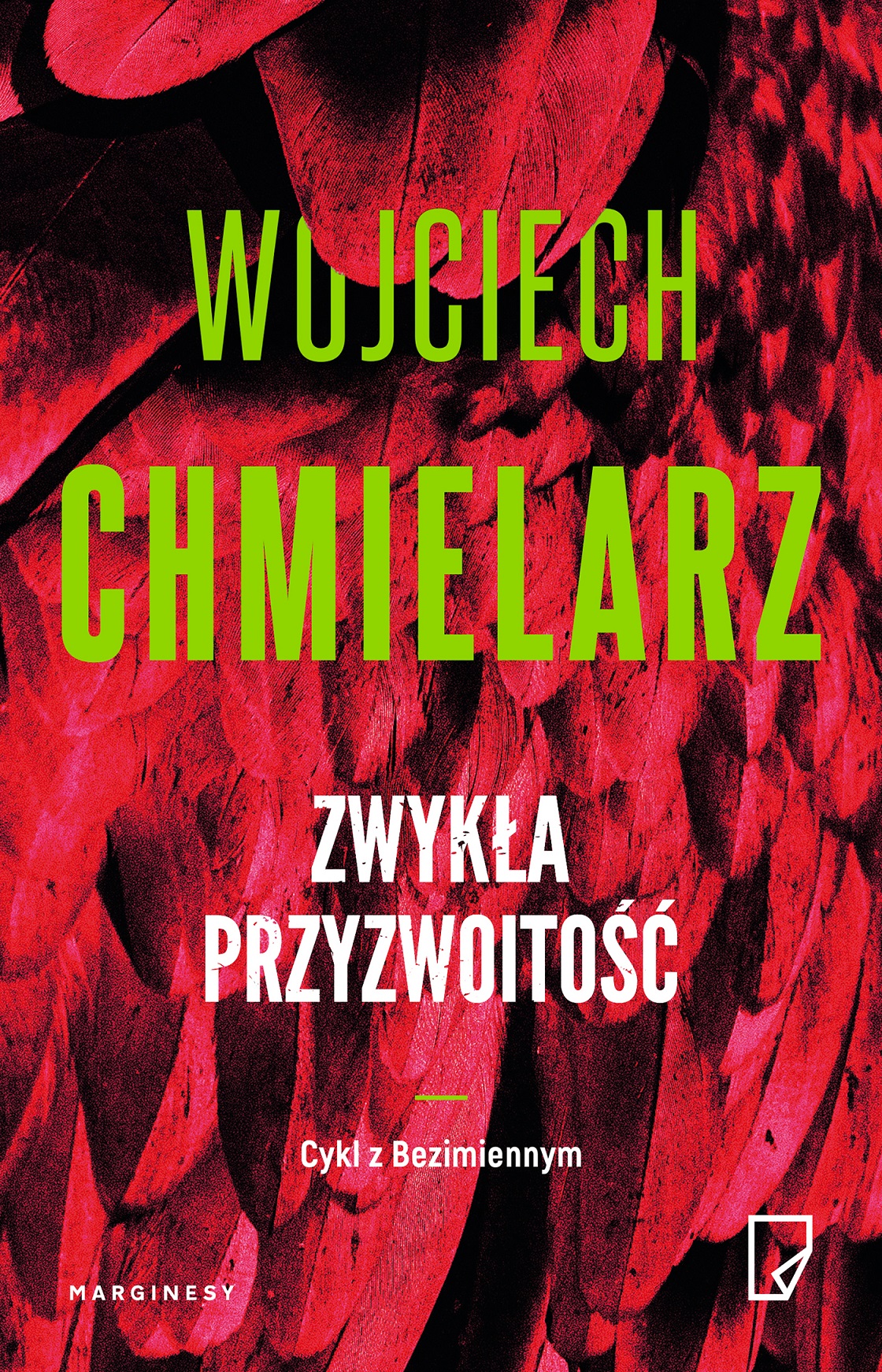 Bezimienny book cover 3