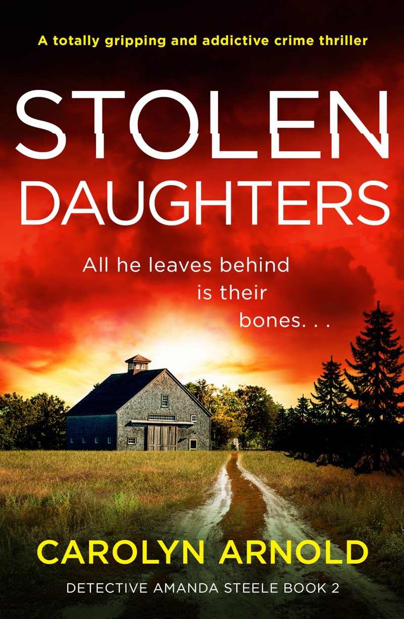 Detective Amanda Steele book cover 2