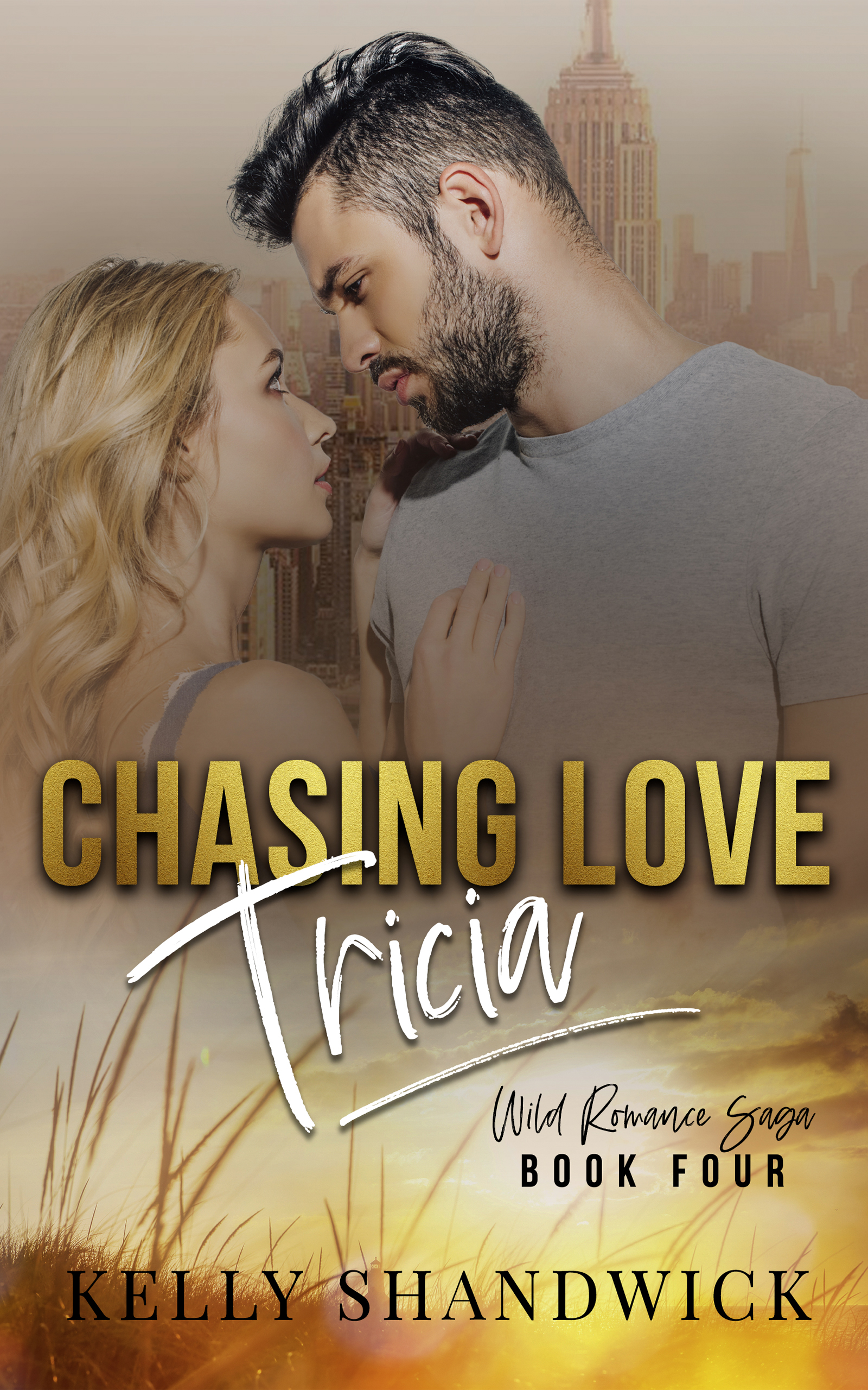 Wild Romance Saga book cover 3