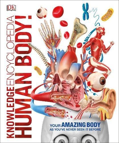 Knowledge Encyclopedia Human Body! book cover