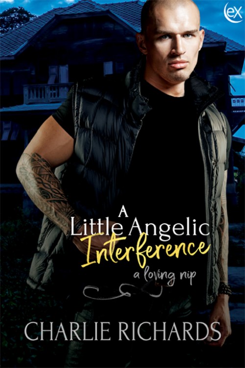 A Little Angelic Interference book cover