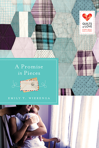 A Promise in Pieces book cover