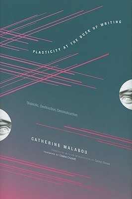Plasticity at the Dusk of Writing book cover