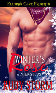 Winter Studs Trilogy book cover 3