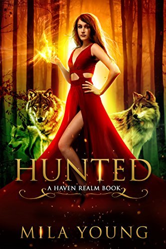 Haven Realm Chronicles book cover 1