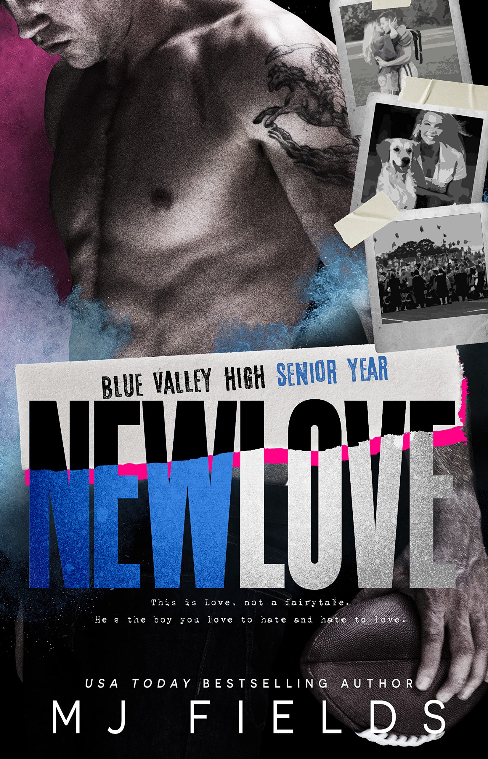 Blue Valley book cover 2