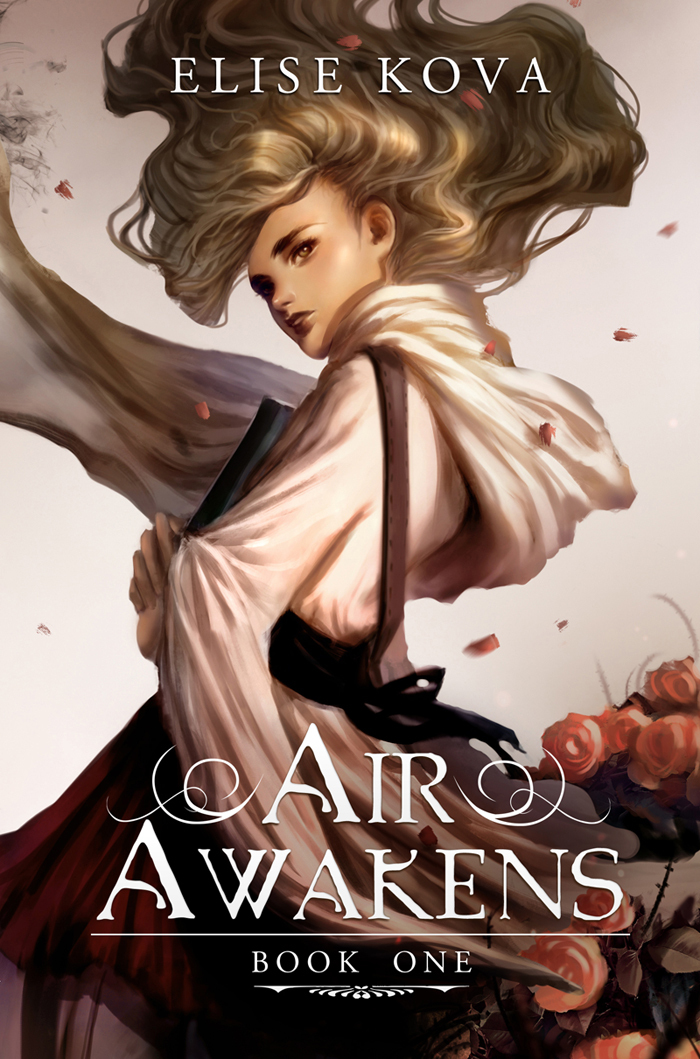 Air Awakens book cover 1