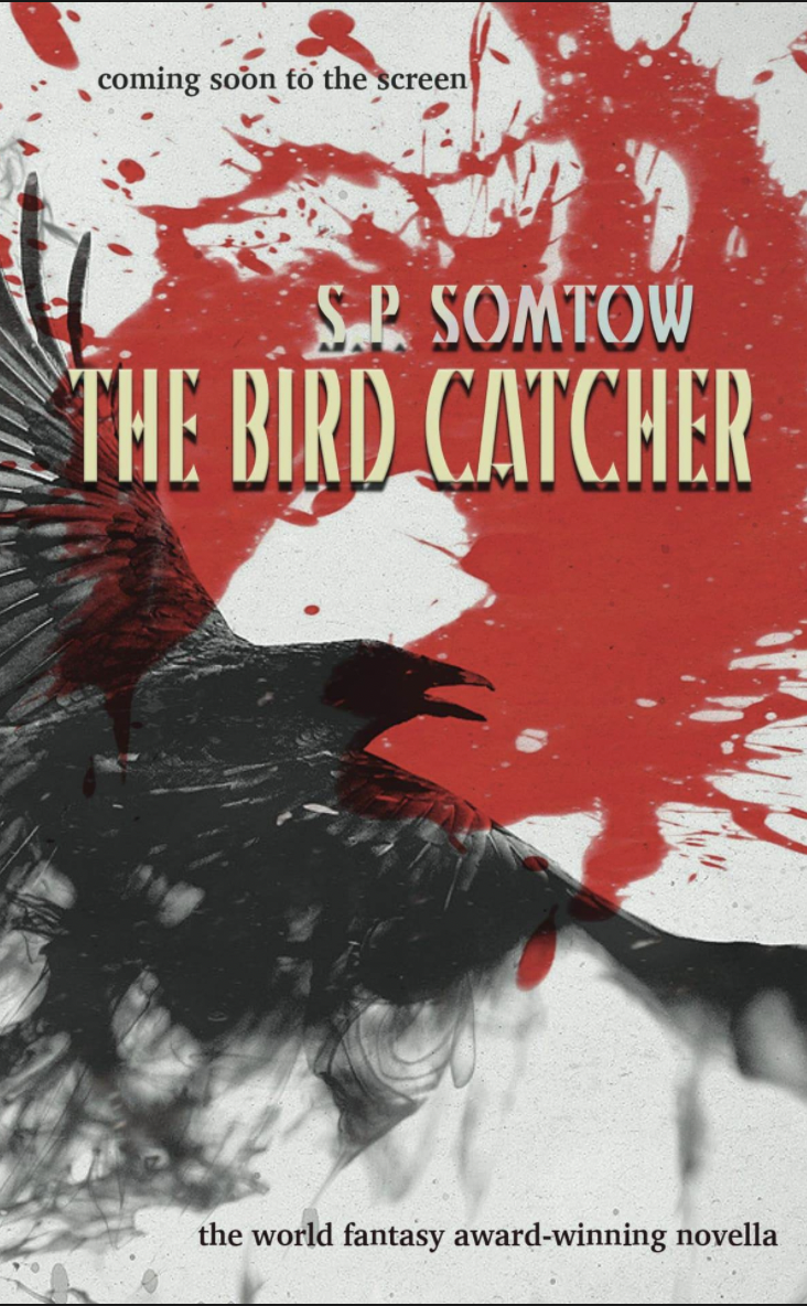 The Bird Catcher book cover