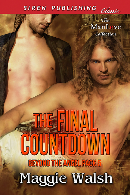 The Final Countdown book cover