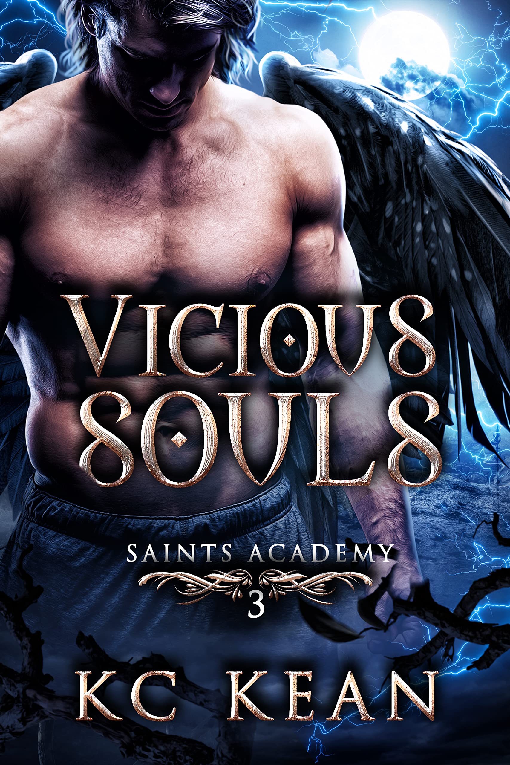 Saints Academy book cover 3
