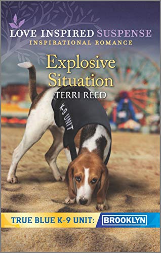 Explosive Situation book cover