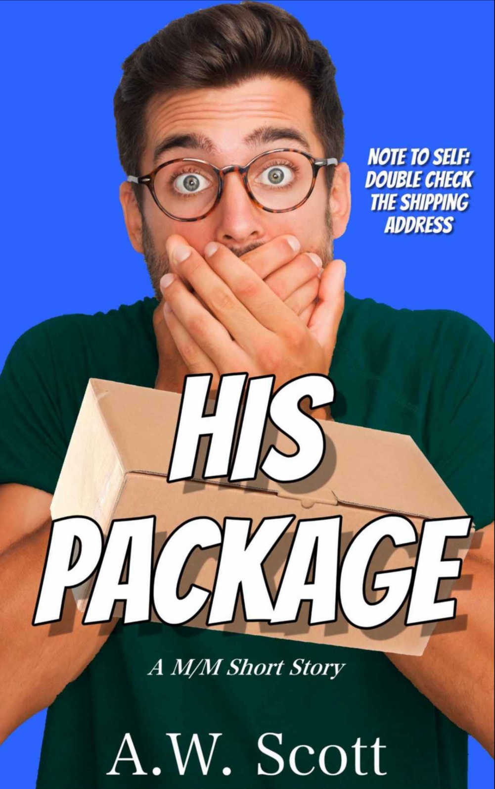 His Package book cover