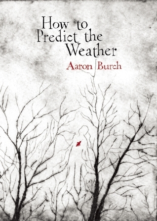 How to Predict the Weather book cover