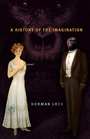 A History of the Imagination book cover