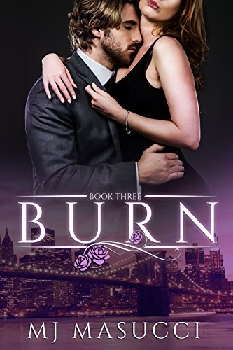The Heat Series book cover 3