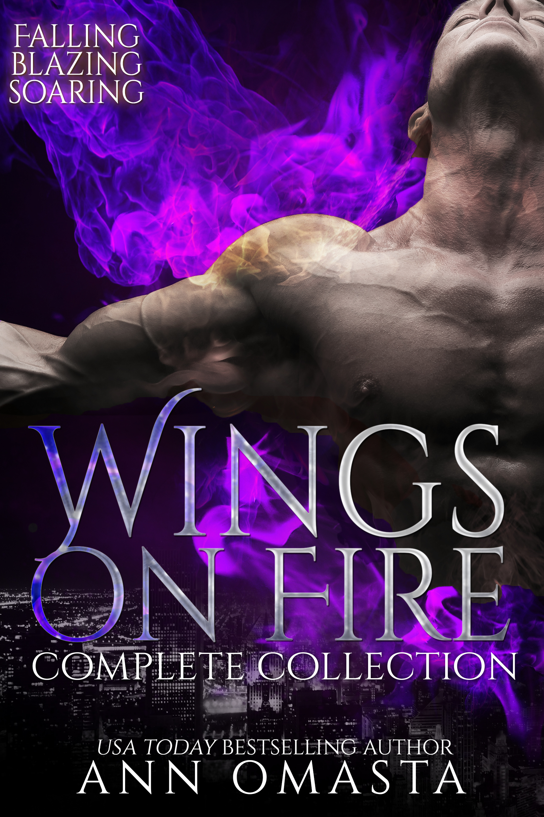 Wings on Fire book cover