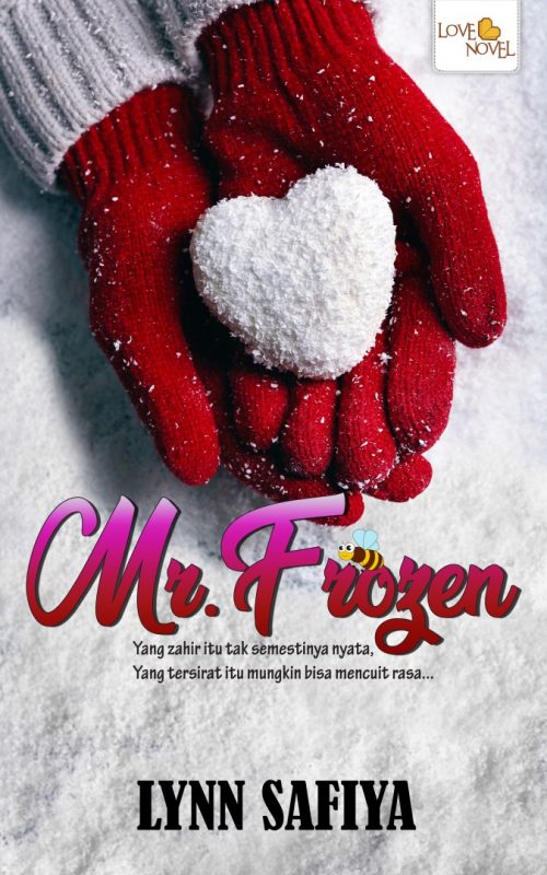 Mr Frozen book cover
