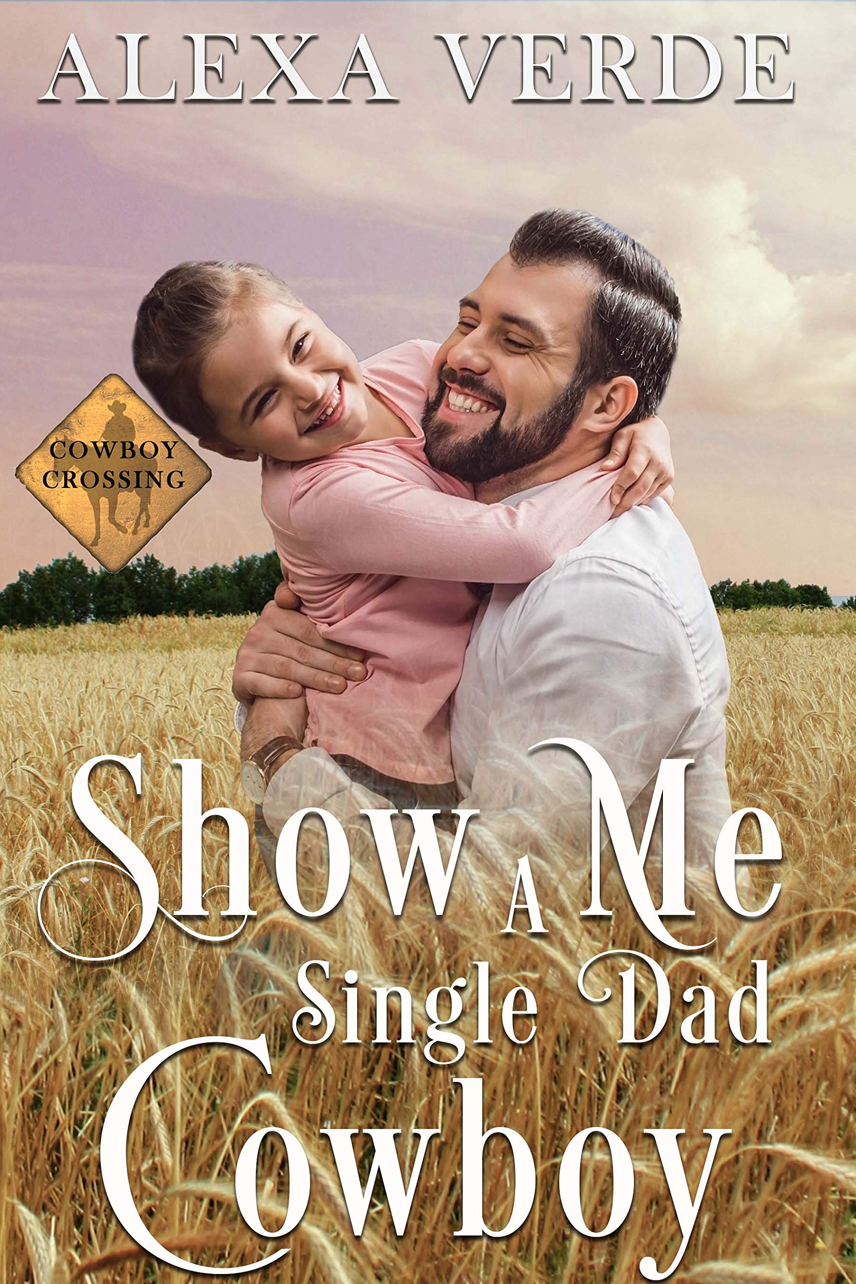 Show Me a Single Dad Cowboy book cover