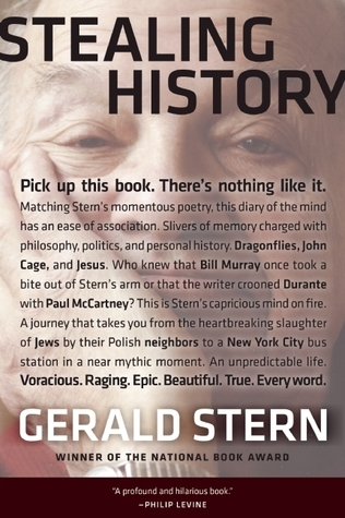 Stealing History book cover