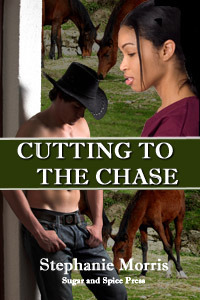 Cutting To The Chase book cover