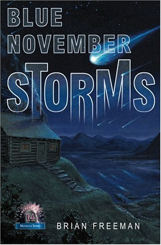 Blue November Storms book cover