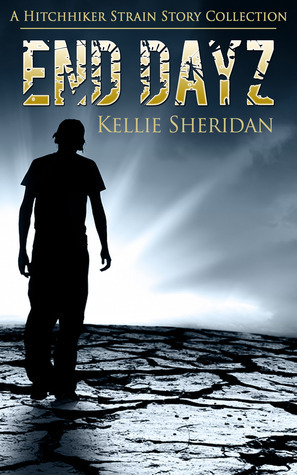 End Dayz book cover